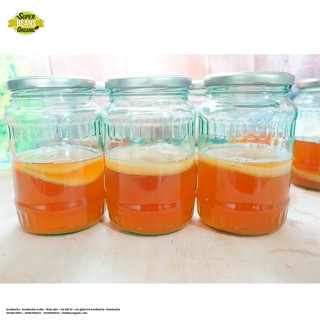 Kombucha Organic- Con Giấm Kombucha Scoby - Trà Thủy Sâm (Home-Made)