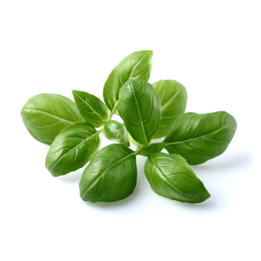 Basil Lá húng quế tươi 100g