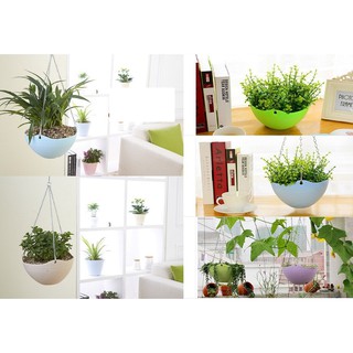 Chậu Trồng Cây Có Móc Treo