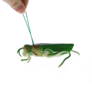 DE❀Halloween Insects Locust Model Figures Kids Children Developmental Science Toy