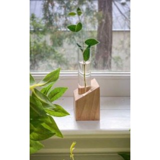 Giá đỡ bằng gỗ hình khối kèm bình cắm hoa từ ống nghiệm