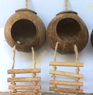 Tổ chim, thú gáo dừa có thang