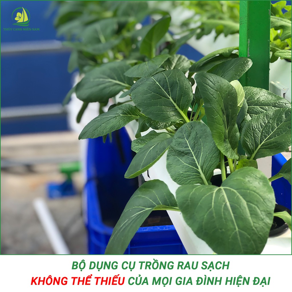 Giàn thuỷ canh thông minh cho người mới bắt đầu | 60 lỗ rau