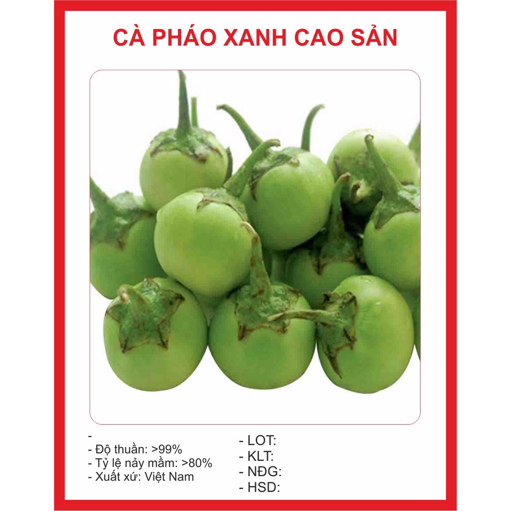 ( BOK GARDEN ) HẠT GIỐNG CÀ PHÁO XANH 1GR
