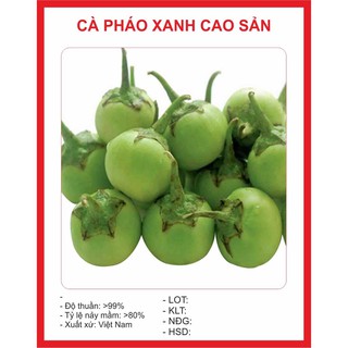 Hạt giống Cà Pháo Xanh F1 cao sản