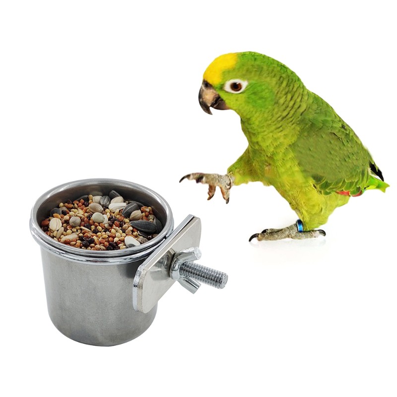 Tô đựng thức ăn treo lồng chim vẹt làm bằng thép không gỉ