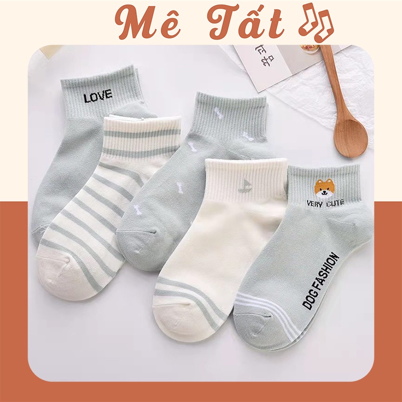 Tất nữ cổ ngắn, set 5 đôi vớ nữ cổ ngắn METAT họa tiết hình thú xinh xắn thời trang Hàn Quốc T36