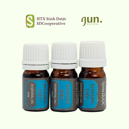 Tinh dầu Khuynh diệp 5ml