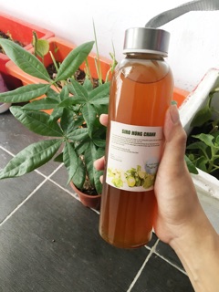 Siro Húng chanh thảo mộc