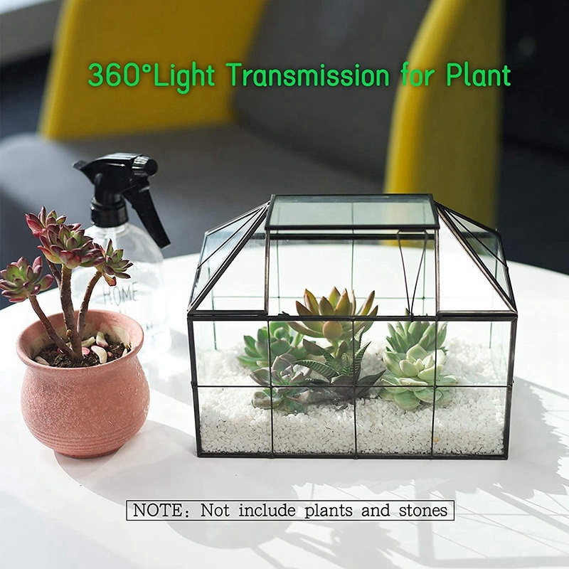 Kính Chậu Trồng Cây Thủy Tinh Hình Ngôi Nhà Có Nắp Đậy