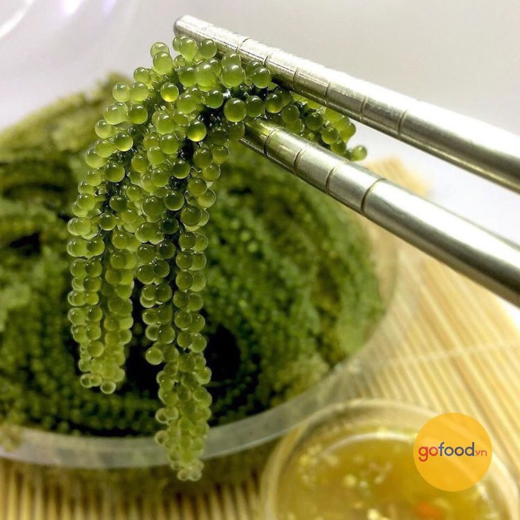 500GRAM RONG NHO KHÔ - SEA GRAPES - RONG NHO TÁCH NƯỚC + 5 GÓI MÈ RANG | BigBuy360 - bigbuy360.vn