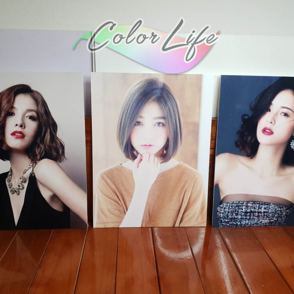 TRANH SALON TIỆM CẮT TÓC NỮ DÁN TREO TƯỜNG SIÊU ĐẸP GIÁ XƯỞNG K35 COLORLIFE | BigBuy360 - bigbuy360.vn