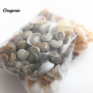 Set 40 vỏ ốc biển trang trí chậu cây