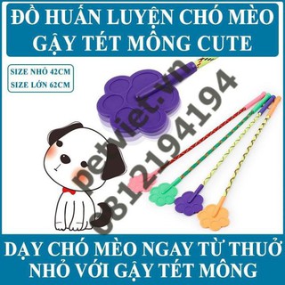 Dụng cụ huấn luyện chó - gậy huấn luyện dạy lệnh