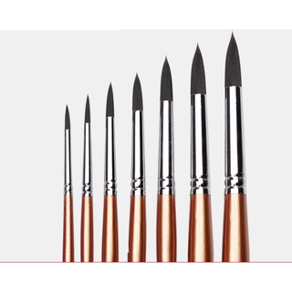 Cọ vẽ màu nước/acrylic, cọ vẽ đầu nhọn, cọ vẽ lông sói, cọ vẽ chuyên nghiệp, đủ size