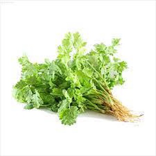 Hạt giống rau mùi ta 15 gram ( ngò rí)