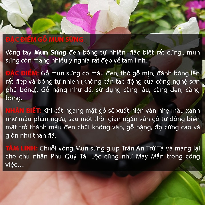 Vòng đeo tay GỖ CỨNG MUN SỪNG TRÚC 12 LY I MÃ: VGPT-13, vòng phong thủy mang vận may và sức khỏe cho gia chủ