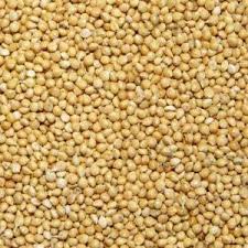 Hạt Kê  vàng cho Hamster, Chim Vẹt, Yến Phụng 0.5 Kg