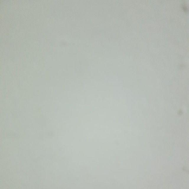 Vải dạ nga 250