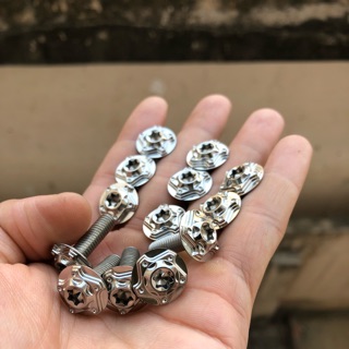 Ốc inox 6li15 (m6x15) , 6li2 (m6x20) đầu ngôi sao CNC