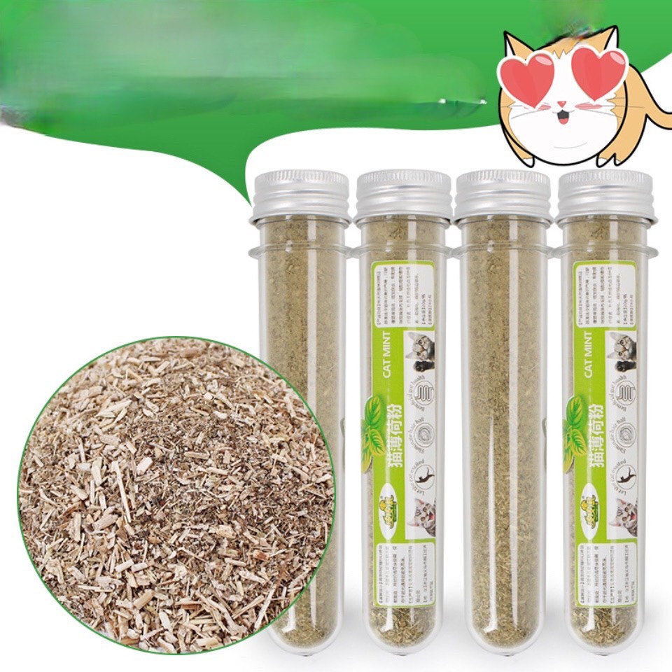 Cỏ Bạc Hà CAT MIN, thức ăn cho mèo.