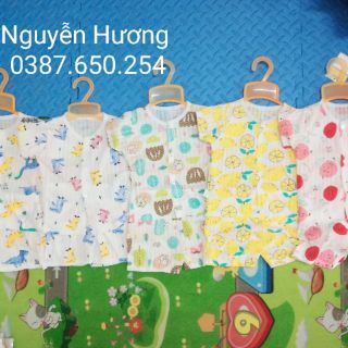 Sét 20bộ cotton giấy, 10 bộ dài, 10bộ cộc