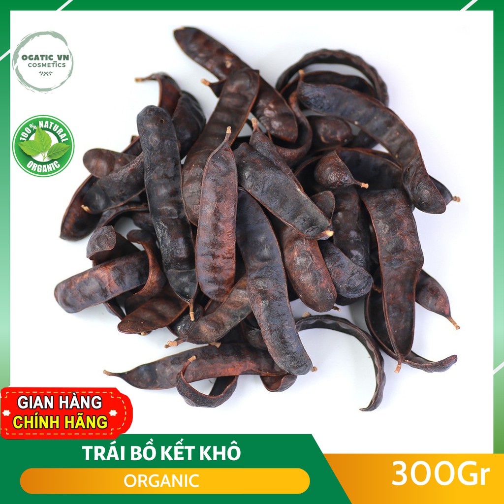 TRÁI BỒ KẾT KHÔ – Bồ kết nguyên trái to sạch 300 GR