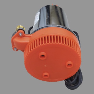 Bơm Nước Thả Chìm 12V/24V Inox