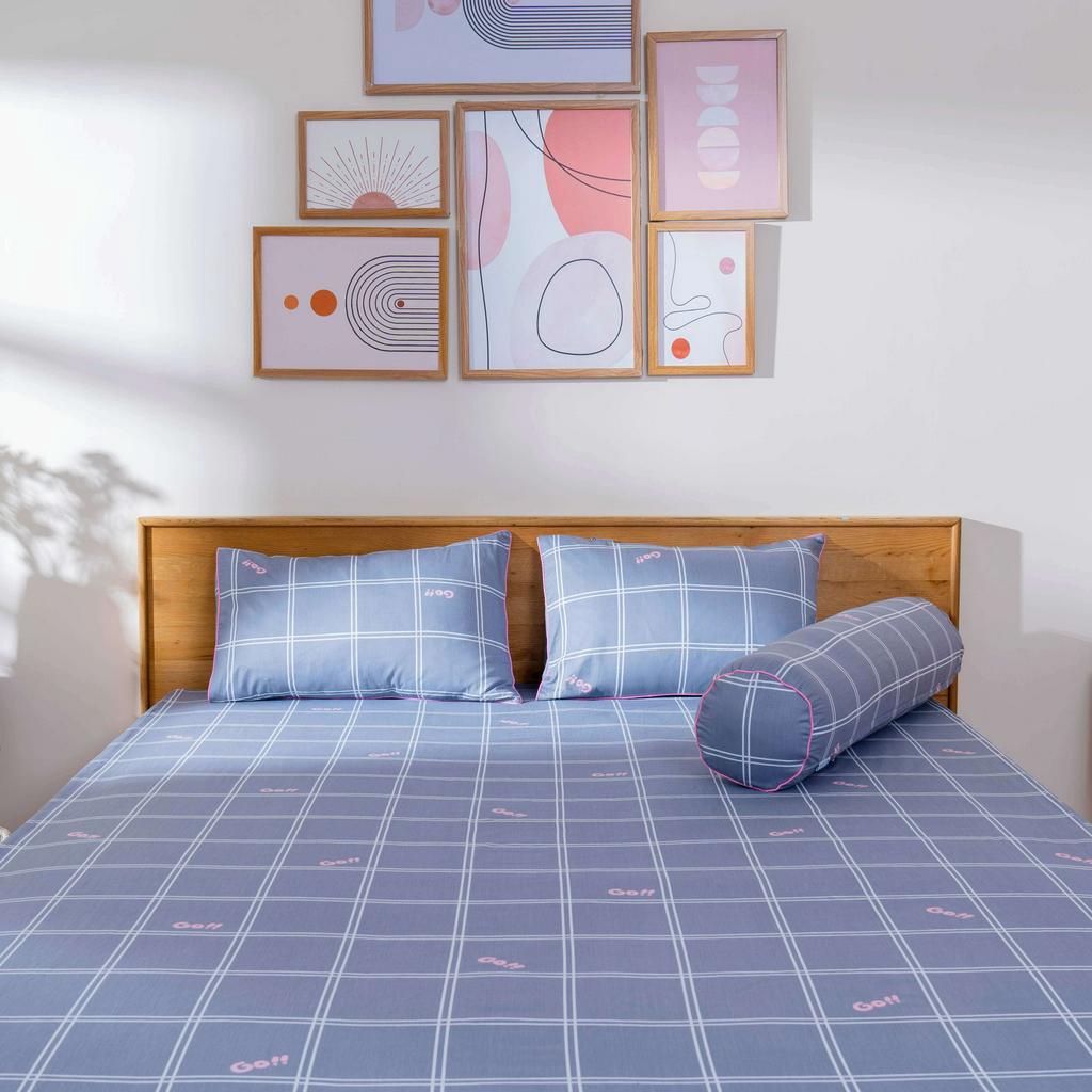 Bộ ga chun Amando Dream