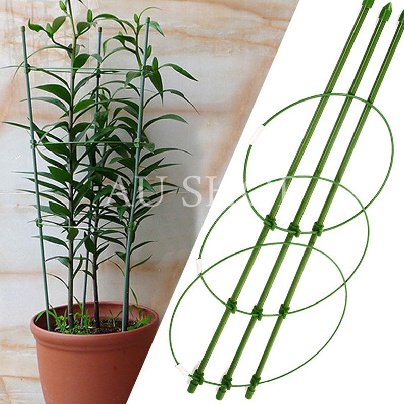 Giá đỡ trồng cây họ dây leo/ cà tím tự làm kích thước 60cm bền