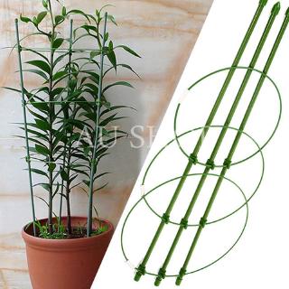Giá đỡ trồng cây họ dây leo/ cà tím tự làm kích thước 60cm bền
