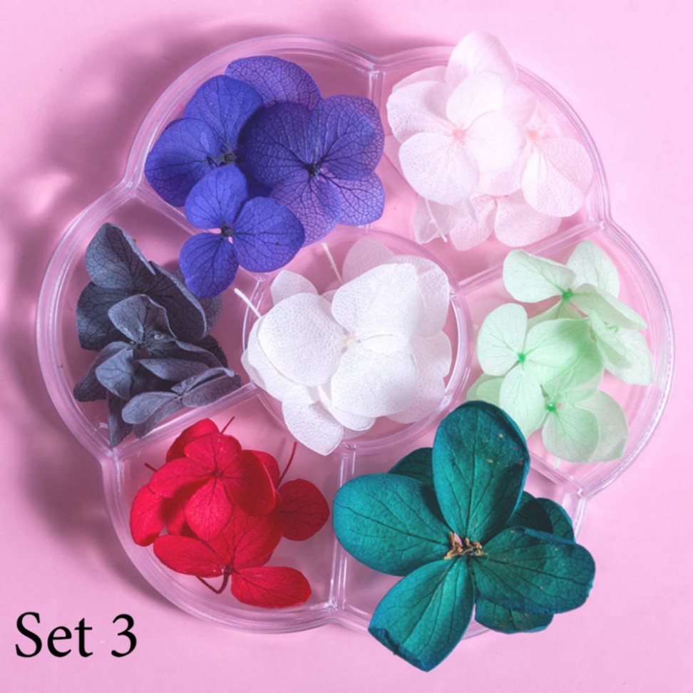 Hoa khô trang trí móng tay - Set 7 màu hoa khô nail, cánh hoa to và mỏng đắp ẩn theo phong cách Hàn Nhật H76