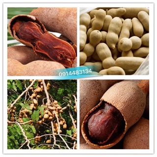 1KG ME SẤY KHÔ NGUYÊN QUẢ