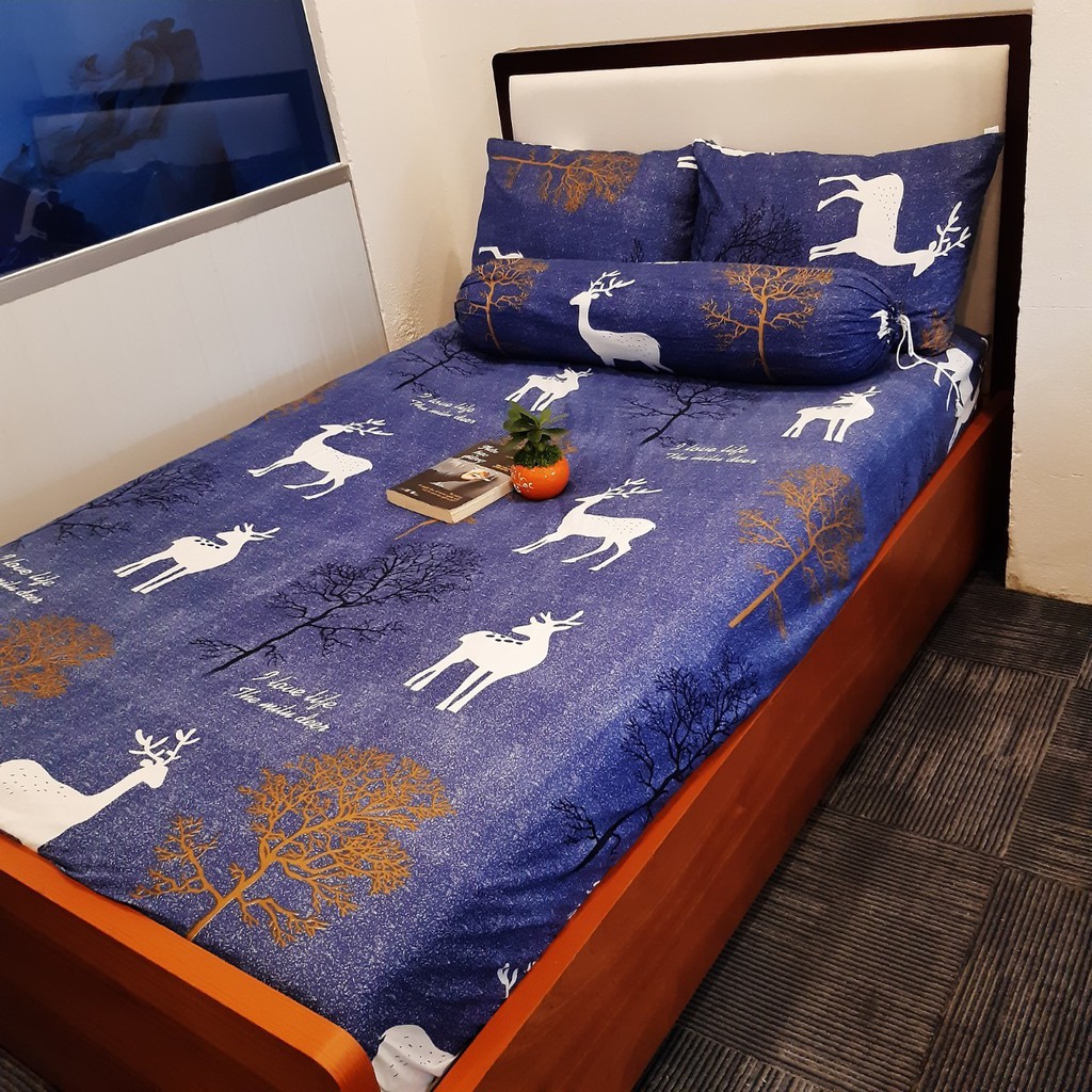 Vỏ Gối Họa Tiết Cotton RIOTEX Kích Thước 40x60/ 50x70/ 35x105 cm - Giao ngẫu nhiên | BigBuy360 - bigbuy360.vn