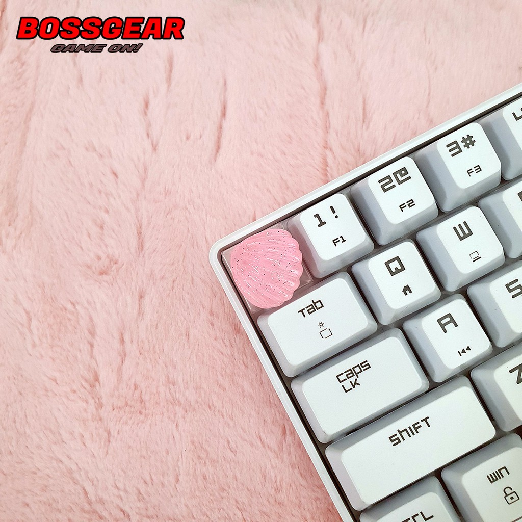 Keycap Lẻ hình vỏ sò ngũ sắc cực đẹp và dễ thương ( keycap resin độc lạ )( Keycap Artisan )