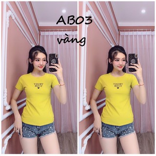 Áo thun thái nữ form ôm AB03