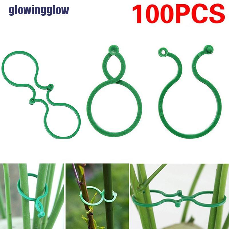 Nglow 100Pcs Vegetable Plant Support Clips Tomato Vine Flower Grow Upright Clip Holder Fad Fad