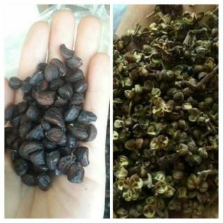 COMBO 500G MẮC KHÉN + 40G HẠT DỔI