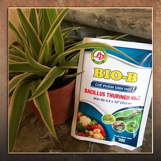 Chế phẩm sinh học diệt côn trùng bioB
