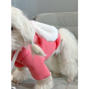 Áo mũ trùm tai thỏ dành cho thú cưng - Màu thật đậm hơn