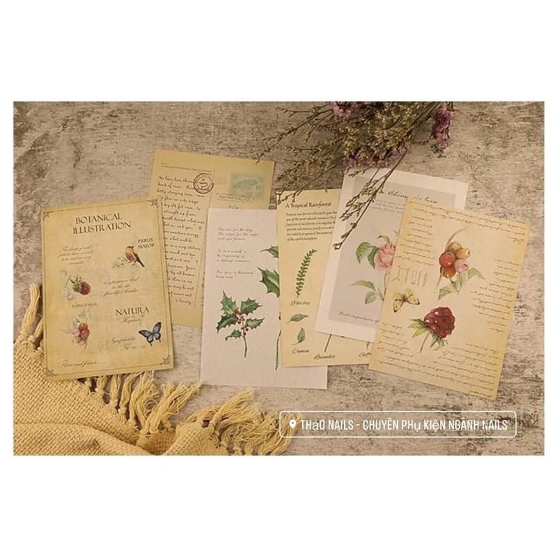 Set 4 giấy nốt nhạc decor chụp ảnh- phụ kiện đồ nail