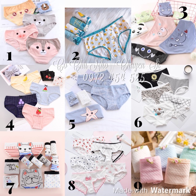 HÀNG VỀ 08/2019- Combo 5 quần lót nữ cotton cao cấp - 5 chip cute cotton hoạt hình