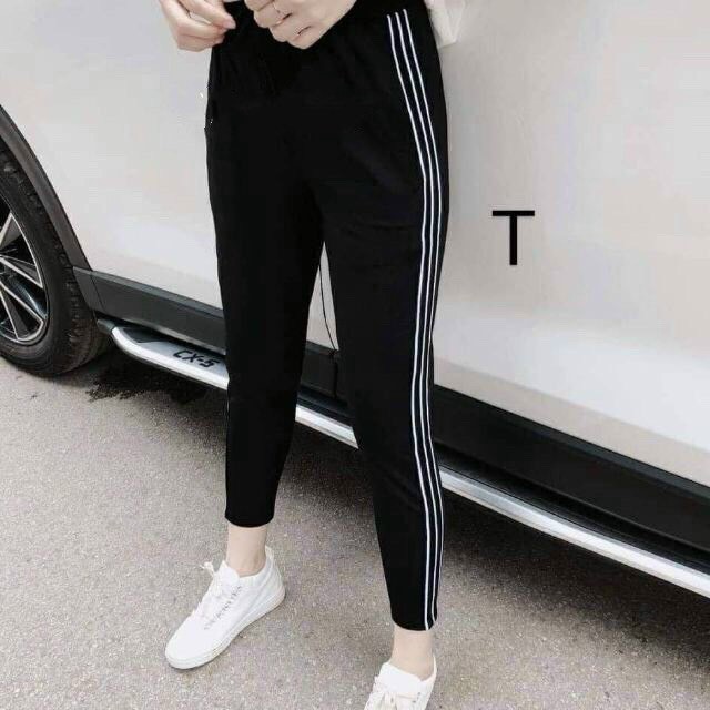 Quần Jogger Nữ Phối Sọc 2 Bên Chất Umi Hàn Đẹp Co Giãn 4 Chiều Không Cắn Chỉ | BigBuy360 - bigbuy360.vn