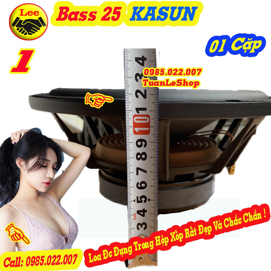 BASS 25 KA SUN HỒNG KÔNG CAO CẤP - GIÁ 02 LOA BASS 2 TẤC