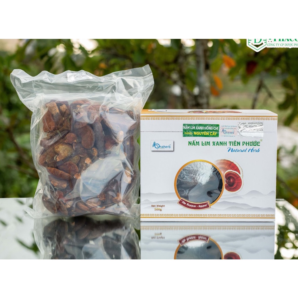 Nấm Lim Xanh nguyên cây 500 gram