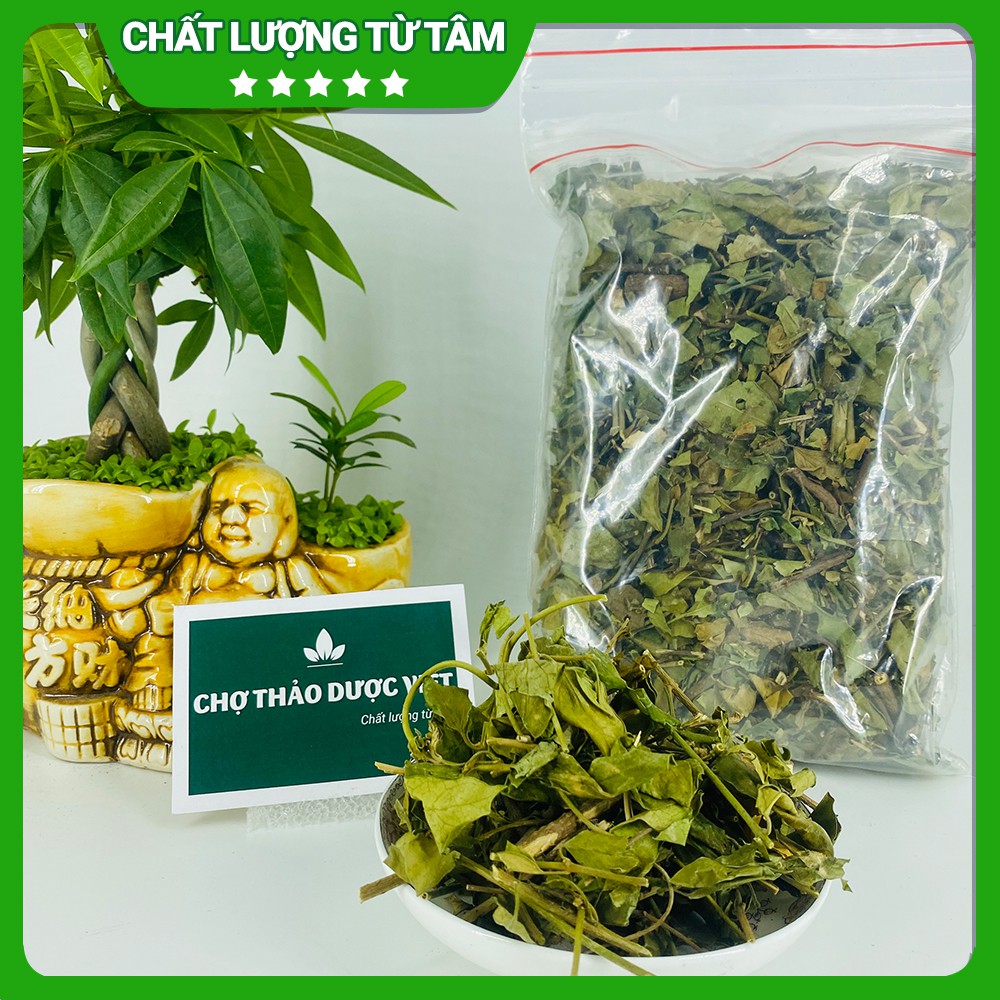 Dây thìa canh khô, xanh, đẹp 1kg - Chợ Thảo Dược Việt
