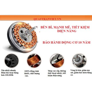 Quạt đèn QD113