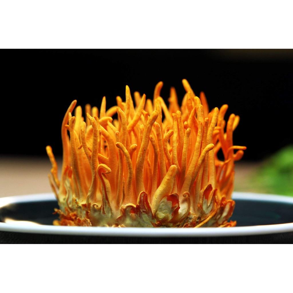 [THANH LÝ GIÁ SỐC] ZMAN - CẢI THIỆN NHANH CHÓNG XUẤT TINH SỚM, SINH LÝ YẾU, RỐI LOẠN CƯƠNG DƯƠNG, BỔ THẬN SINH TINH | BigBuy360 - bigbuy360.vn