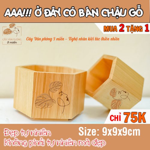 [MUA 2 TẶNG 1] Chậu Gỗ Lục Giác Gỗ tự nhiên 100%