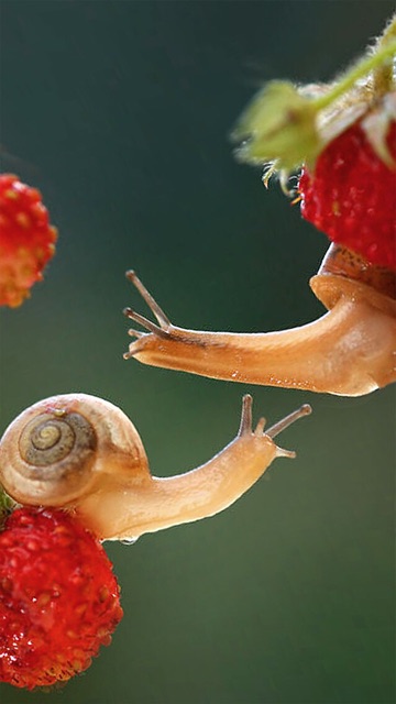 hadai87, Cửa hàng trực tuyến | BigBuy360 - bigbuy360.vn